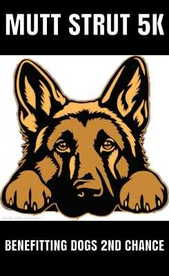 mutt strut 5k benefitting dogs 2nd chance grey