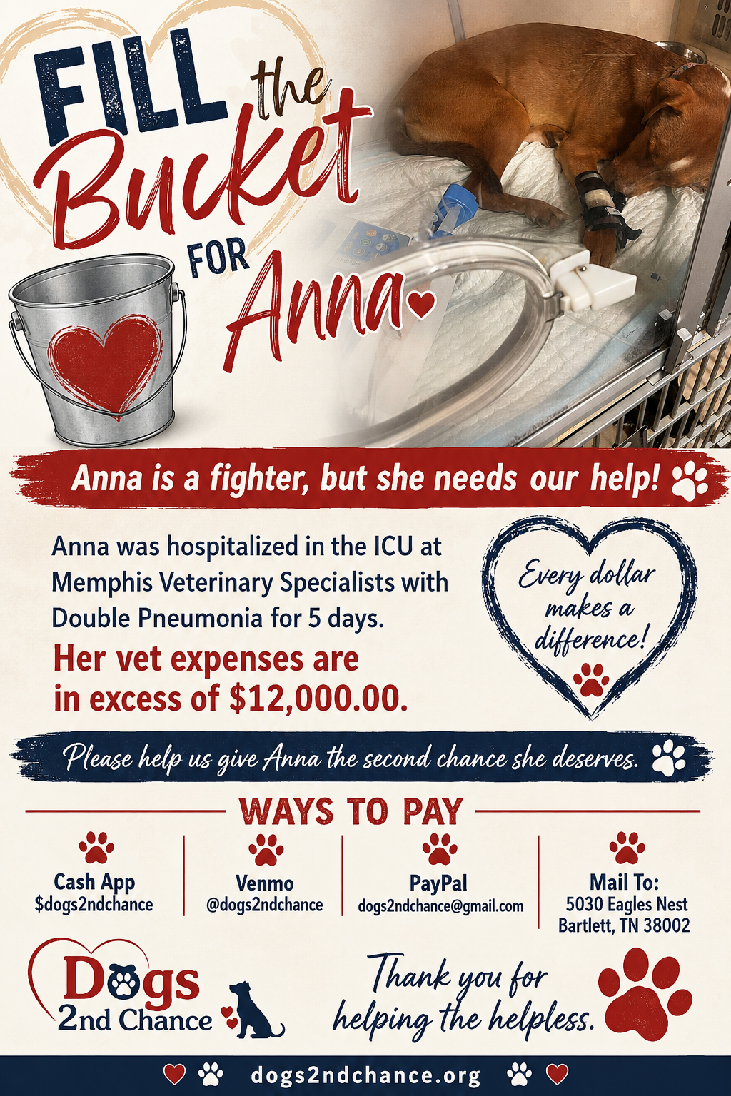 Hit the Bucket for Ana (Her Vet Bill is Over $12,000)